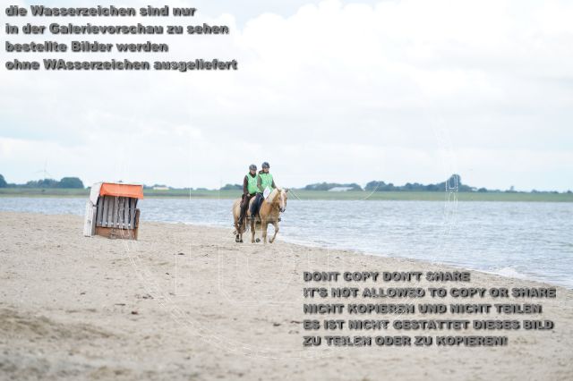 s_K3F04993.JPG